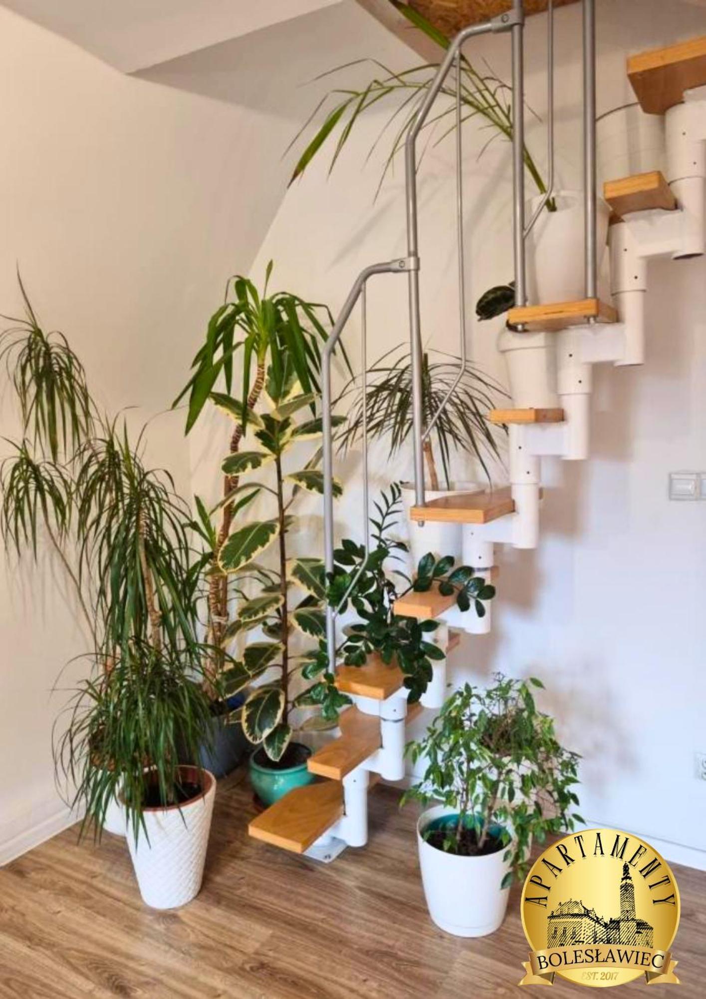 Apartament W Rynku ブンツラウ エクステリア 写真